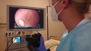 Das Caritas Klinikum Saarbrücken St. Theresia setzt neuerdings Künstliche Intelligenz (KI) in der Endoskopie ein.